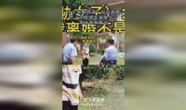 女子爆料男子离婚视频,视频揭露婚姻破裂真相