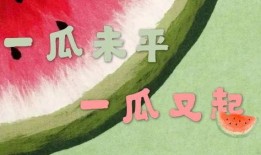 娱乐吃瓜君四字小花,娱乐吃瓜君揭秘娱乐圈小花背后的故事